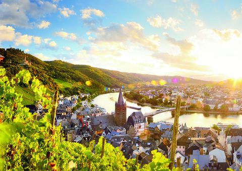 Bernkastel-Kues Weinberge Mosel