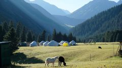 Jurten in der Region Karakol