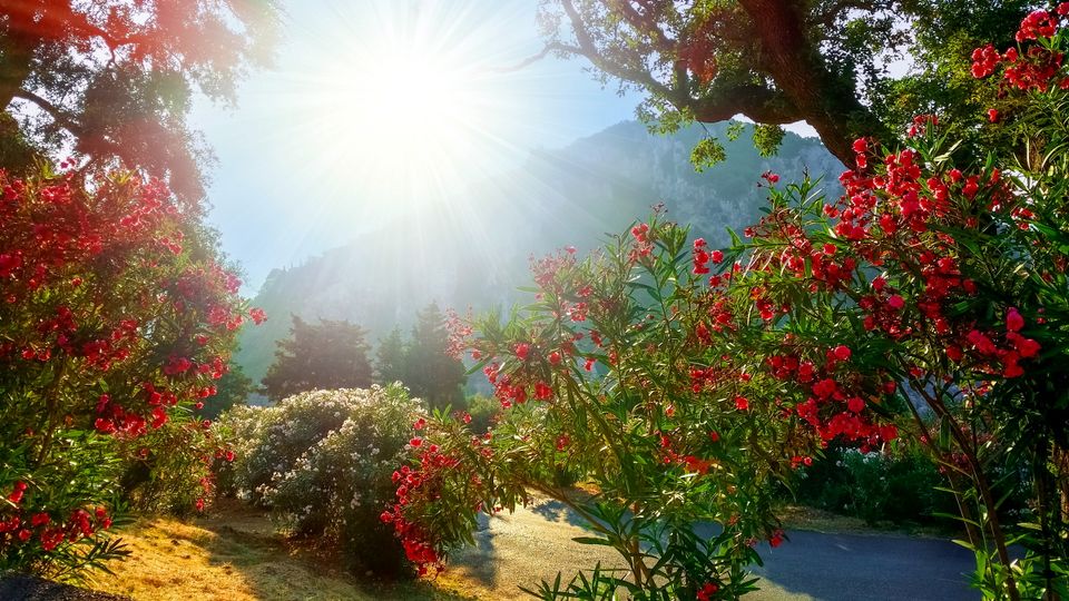 Der Tag erwacht auf Madeira