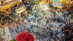Shibuya Kreuzung