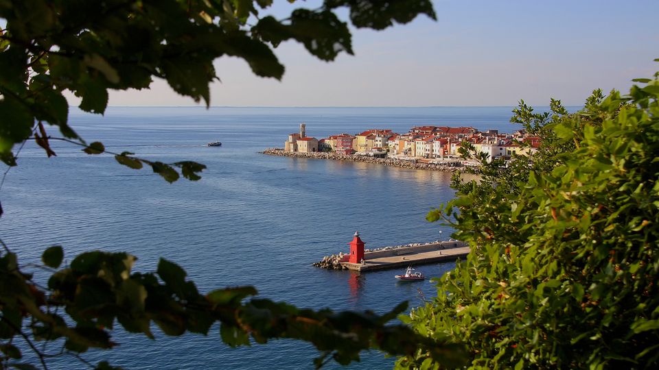 Blick auf Piran