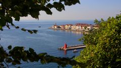 Blick auf Piran