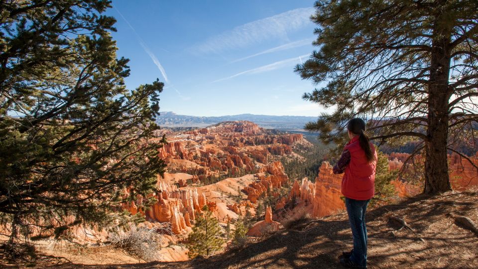 Hoodoo Amphitheater - Bryce Canyon National Park