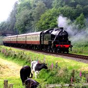 nostalgischer Zug im Lake District