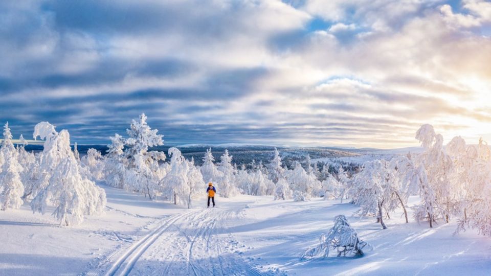 Langlauf in Lappland