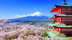 Chureito Pagode und Mt Fuji im Frühjahr mit Kirschblüten
