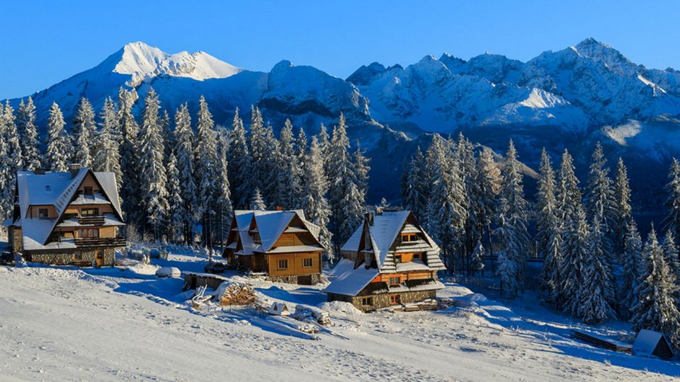 Haeuser_bei_Zakopane_mit_Blick_auf_die_Berge_der_Tatra__c__pkazmierczak_-_Fotolia