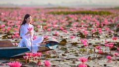 Frau im vietnamesischen Blütenmeer