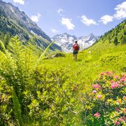 Wandern in den Zillertaler Alpen