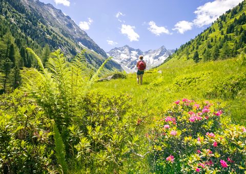Wandern in den Zillertaler Alpen