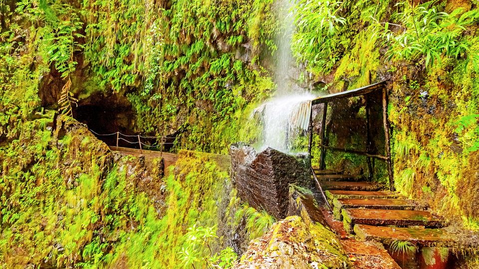 Tropischer Wasserfall auf dem Wanderweg Levada da Central da Ribeira da Janela auf Madeira
