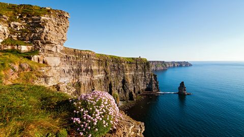 Cliffs of Moher im Abendlicht