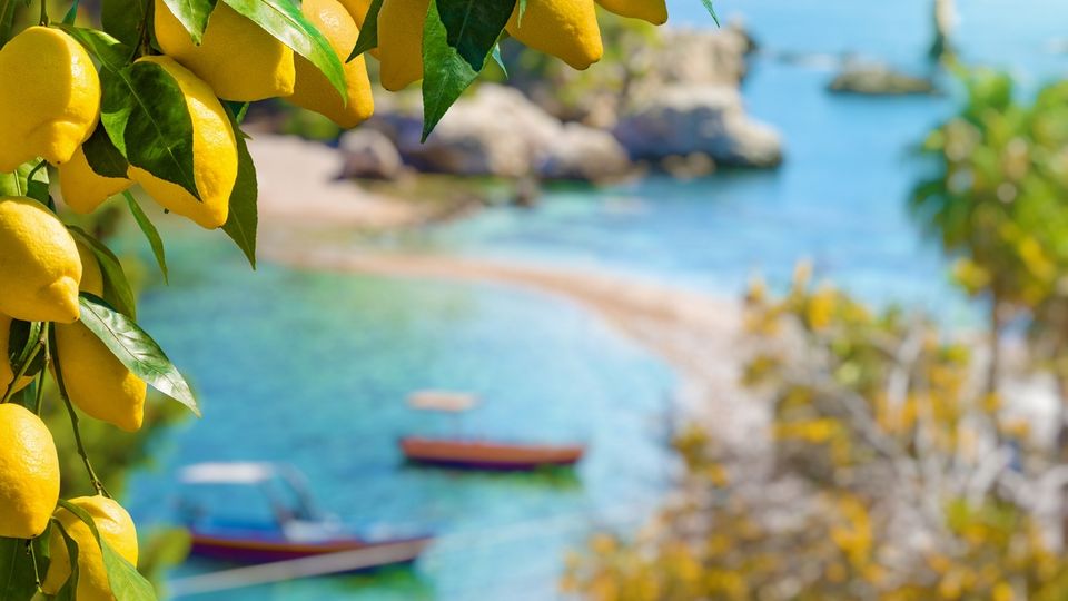 Sizilien, Bucht von Taormina mit Zitronen
