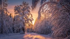 Lahemaa Nationalpark im Winter