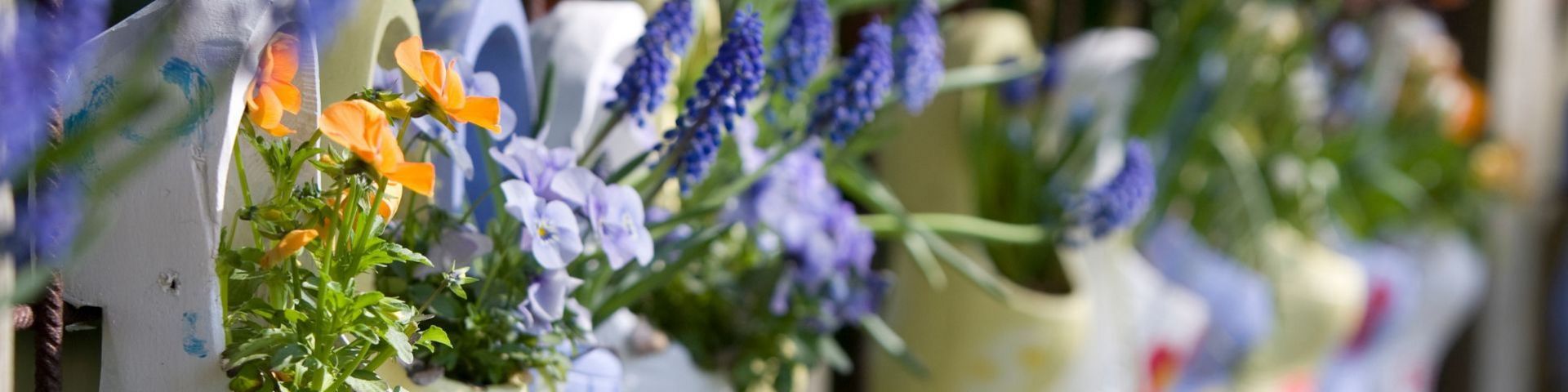 Blumenschuhe bei einer Frühlingsreise mit sz-Reisen