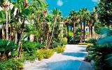 Blick in den Palmengarten vom Hotel Parco delle Agavi in Italien, Ischia