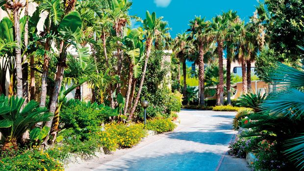 Blick in den Palmengarten vom Hotel Parco delle Agavi in Italien, Ischia