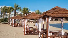 Strohgedeckte Pavillons mit weißen Vorhängen direkt am Sandstrand, umgeben von Palmen.