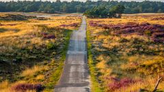 De Hoge Veluwe Nationalpark