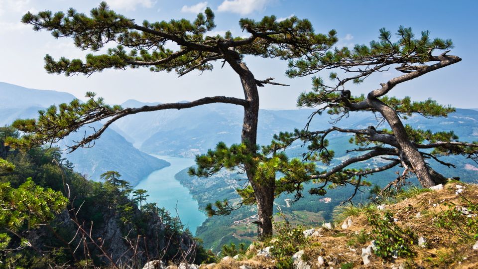 Tara Gebirge in Serbien