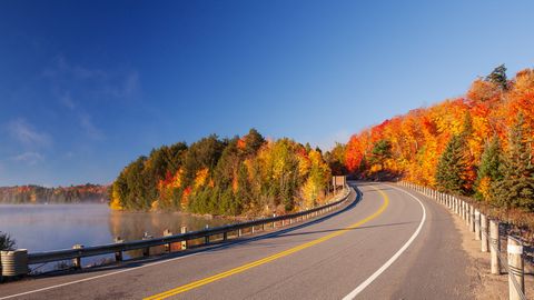 Straße in den Algonquin Provincial Park