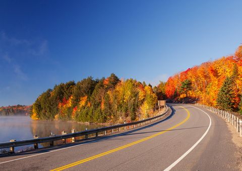 Straße in den Algonquin Provincial Park