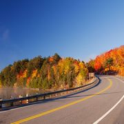 Straße in den Algonquin Provincial Park