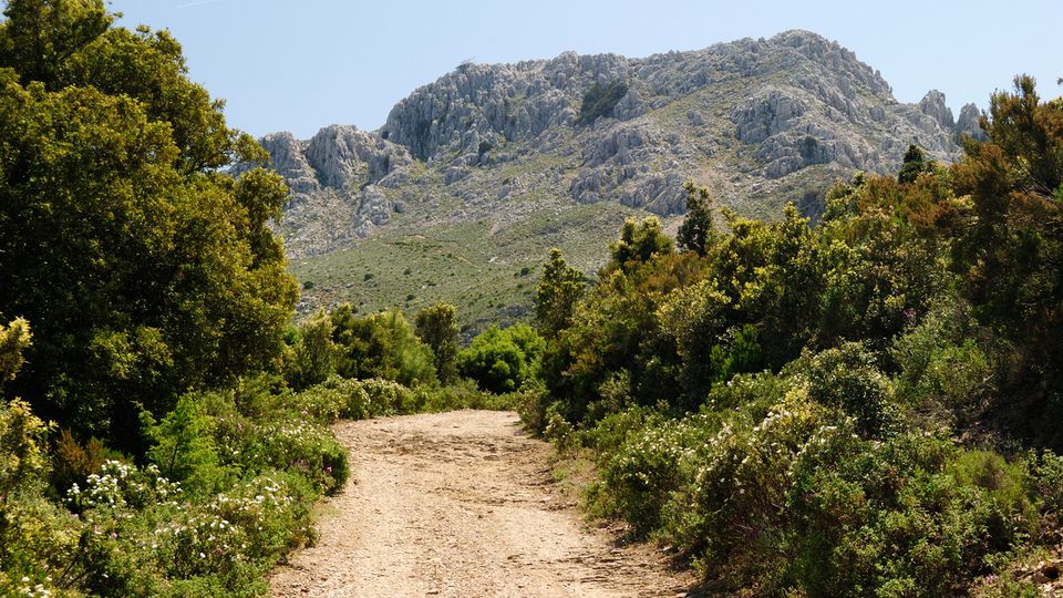 Wanderung am Monte Albo