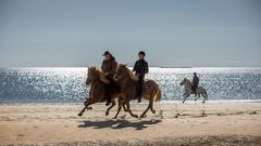 Löngufjörur Strandritt