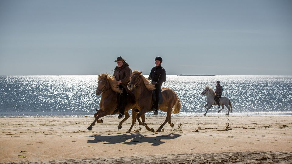 Löngufjörur Strandritt
