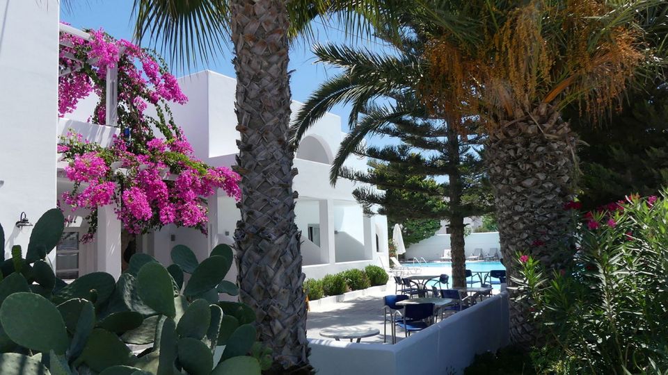 Mediterraner Garten mit Palmen, Kakteen und leuchtend pinker Bougainvillea vor weißem Gebäude – im Hintergrund lädt ein Pool mit Sonnenliegen zum Entspannen ein.