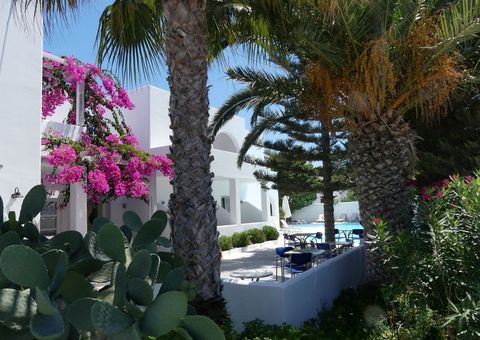 Mediterraner Garten mit Palmen, Kakteen und leuchtend pinker Bougainvillea vor weißem Gebäude – im Hintergrund lädt ein Pool mit Sonnenliegen zum Entspannen ein.