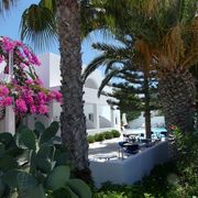 Mediterraner Garten mit Palmen, Kakteen und leuchtend pinker Bougainvillea vor weißem Gebäude – im Hintergrund lädt ein Pool mit Sonnenliegen zum Entspannen ein.