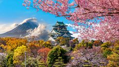 Osaka Schloss mit Fuji