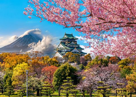 Osaka Schloss mit Fuji