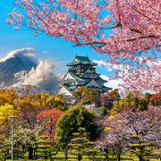 Osaka Schloss mit Fuji