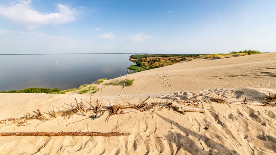 Wanderdüne Kurische Nehrung