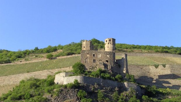 Rüdesheim, Ruine Ehrenfels