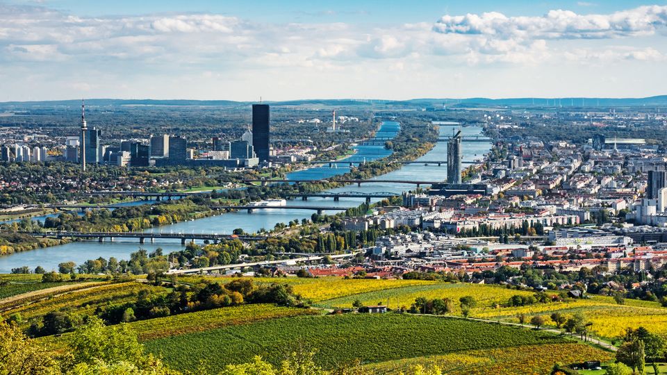 Wien Panorama im Herbst, Stadtansicht mit Donau vom Kahlenberg fotografiert