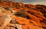 Valley of Fire & Red Rock Canyon