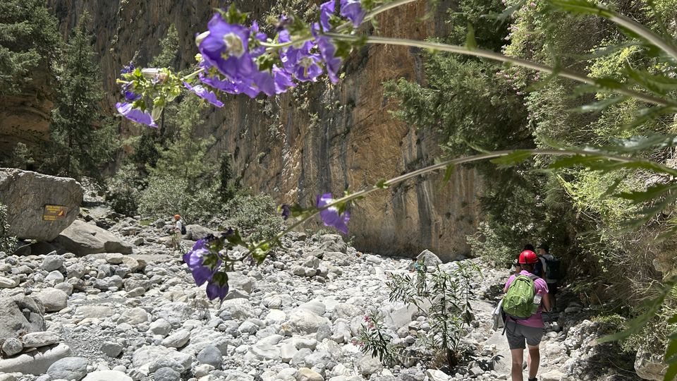 Samaria-Schlucht_6, Kreta