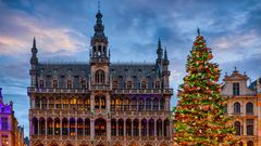 Brüssel, Weihnachtsbaum auf dem Grote Markt