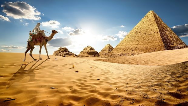 Pyramiden von Gizeh mit Kamel