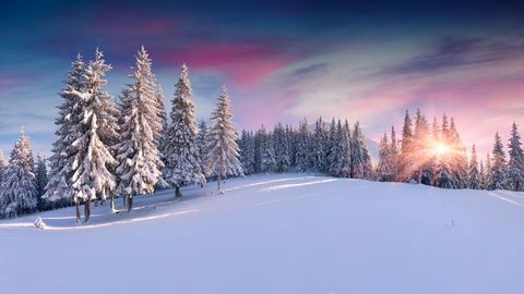 Schneelandschaft im Vogtland bei einer Winterreise mit sz-Reisen