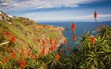 Küstenimpressionen auf Madeira
