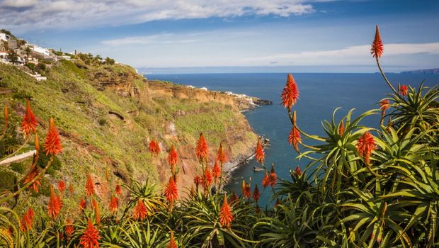 Küstenimpressionen auf Madeira