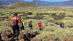 Wanderer auf Teneriffa