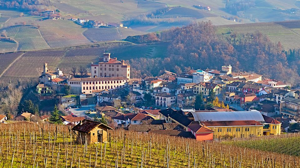 Barolo