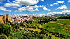 Blick auf die Altstadt von Ronda