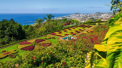 Botanischer Garten bei Funchal